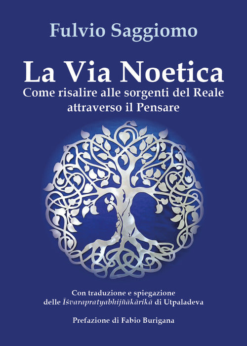 Cover of via noetica. Come risalire alle sorgenti del reale attraverso il pensare