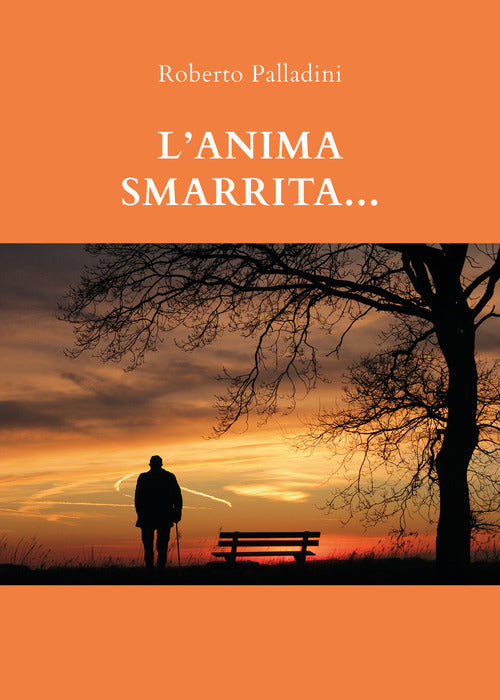 Cover of anima smarrita...