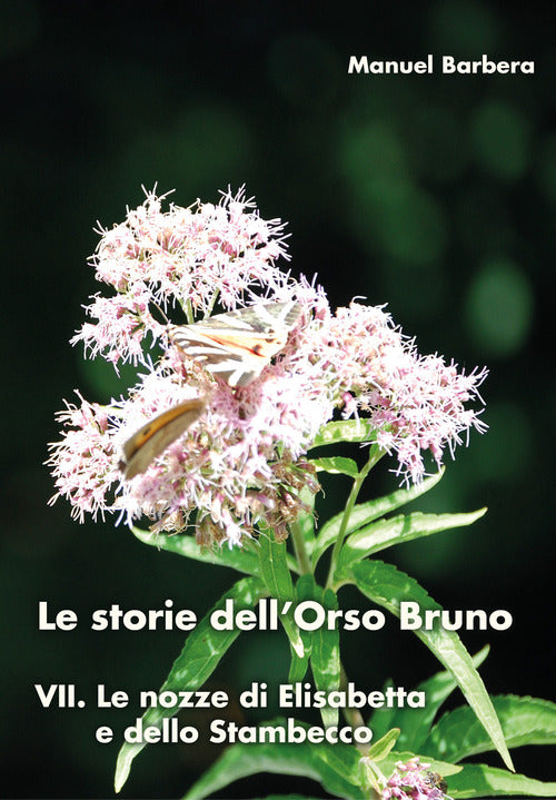 Cover of nozze di Elisabetta e dello stambecco. Le storie dell'orso bruno