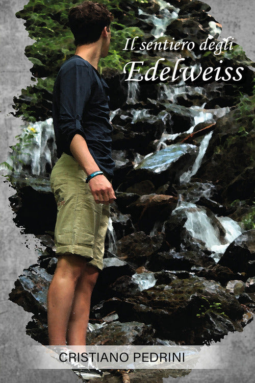 Cover of sentiero degli edelweiss