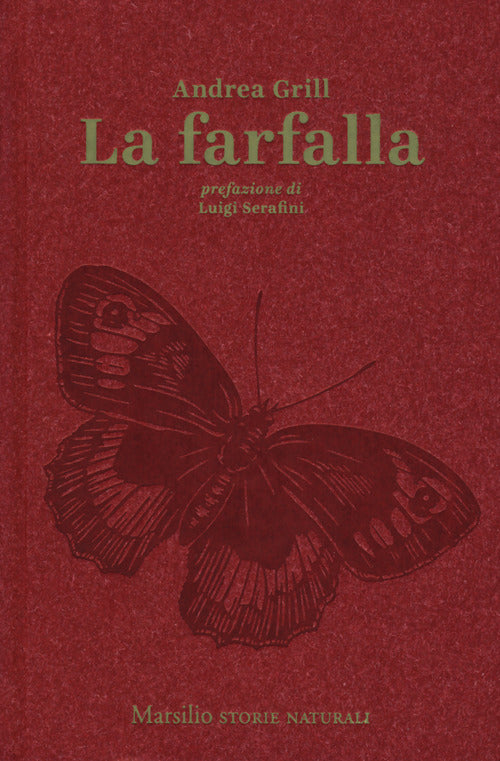 Cover of farfalla