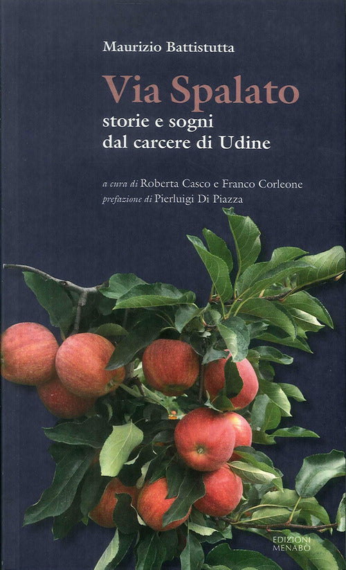 Cover of Via Spalato. Storie e sogni dal carcere di Udine