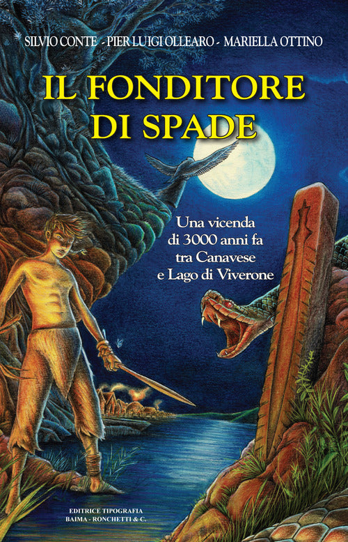 Cover of fonditore di spade. Una vicenda di 3000 anni fa tra Canavese e Lago di Viverone