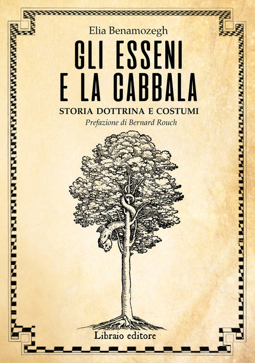 Cover of Esseni e la Cabala. Storia dottrina e costumi