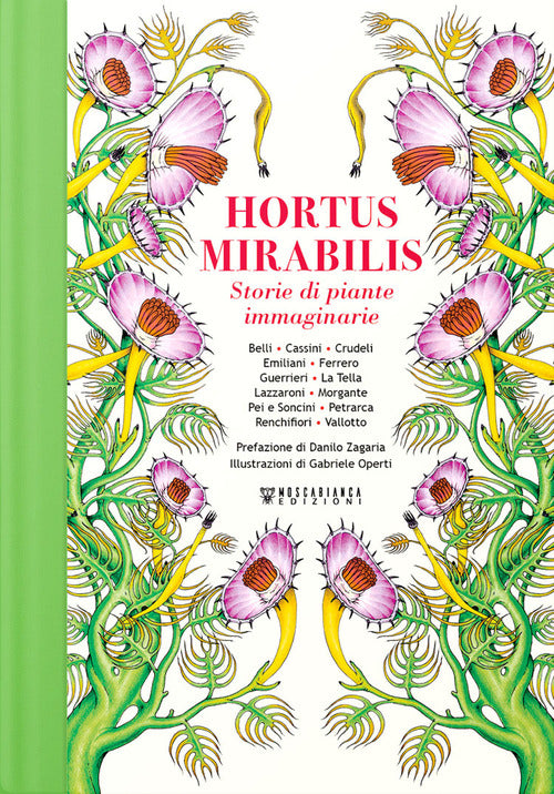 Cover of Hortus Mirabilis. Storie di piante immaginarie