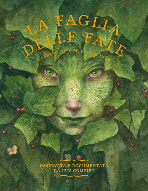 Cover of faglia delle fate