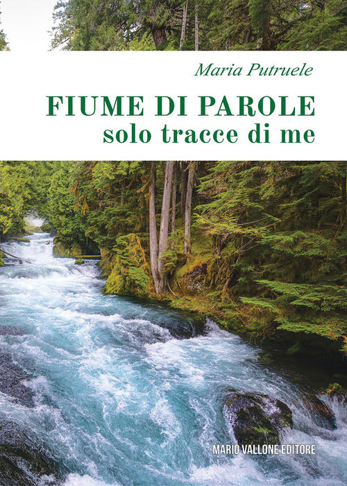 Cover of Fiume di parole (solo tracce di me)