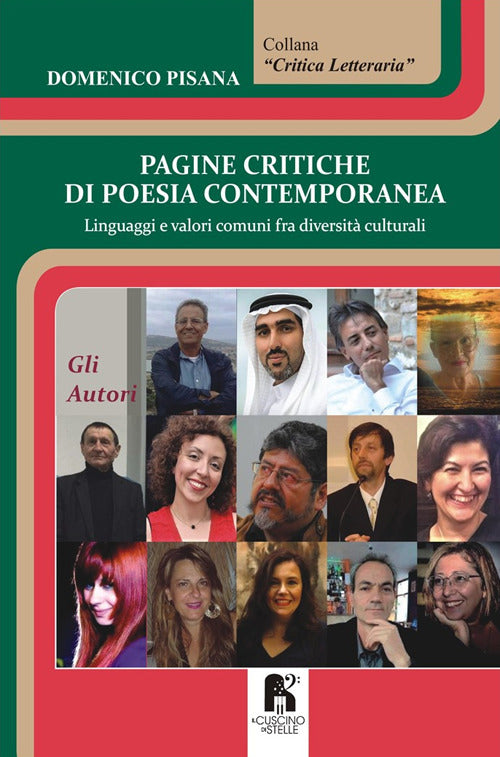 Cover of Pagine critiche di poesia contemporanea. Linguaggi e valori comuni fra diversità culturali