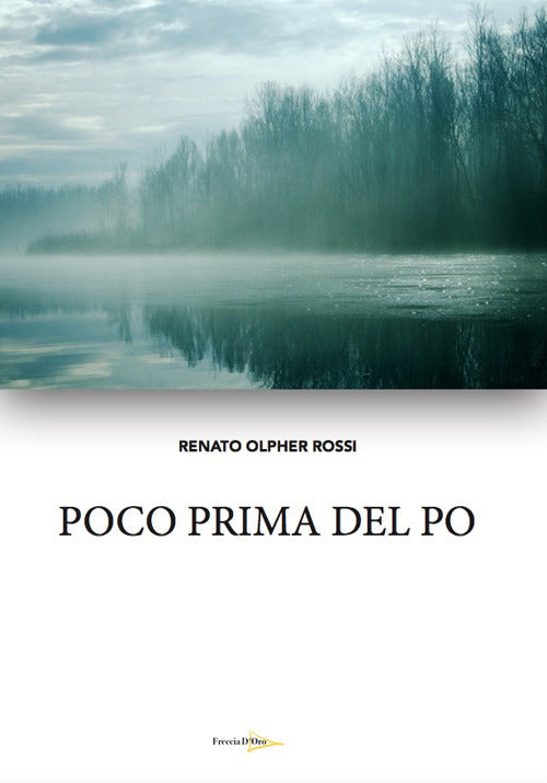 Cover of Poco prima del Po