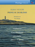Cover of Piove su Dublino