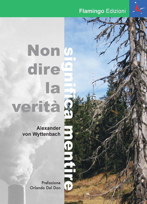 Cover of Non dire la verità significa mentire