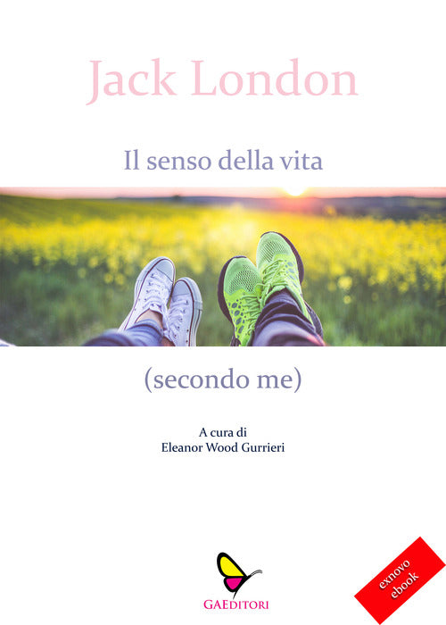 Cover of senso della vita (secondo me)