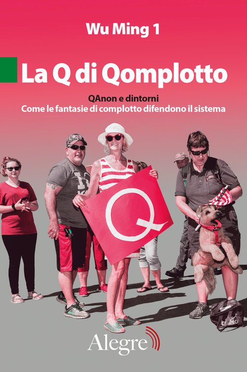 Cover of La Q di Qomplotto. QAnon e dintorni. Come le fantasie di complotto difendono il sistema