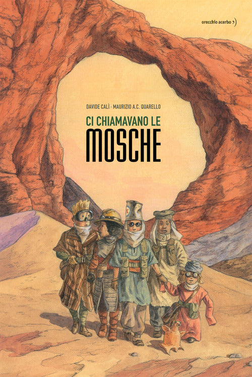 Cover of Ci chiamavano le mosche