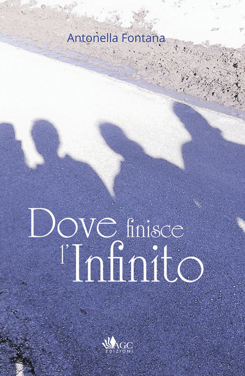 Cover of Dove finisce l'infinito