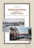 Cover of Pescantina in formato cartolina. Cento anni di immagini e storia del paese