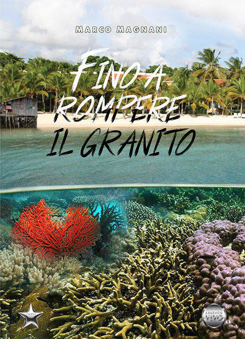 Cover of Fino a rompere il granito