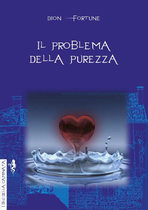 Cover of problema della purezza