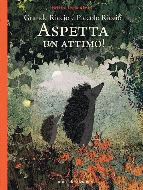 Cover of Grande riccio e piccolo riccio. Aspetta un attimo!