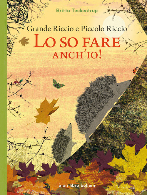 Cover of Grande riccio e piccolo riccio. Lo so fare anch'io!