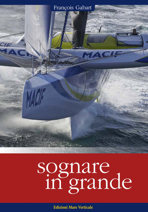 Cover of Sognare in grande