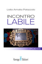 Cover of Incontro labile