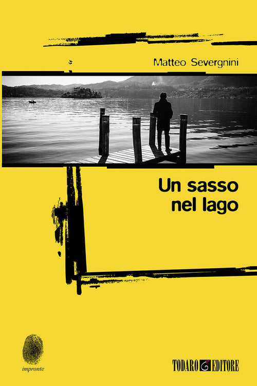 Cover of sasso nel lago