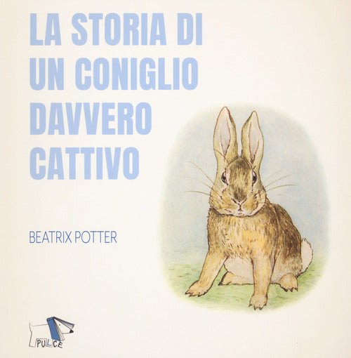 Cover of storia di un coniglio davvero cattivo