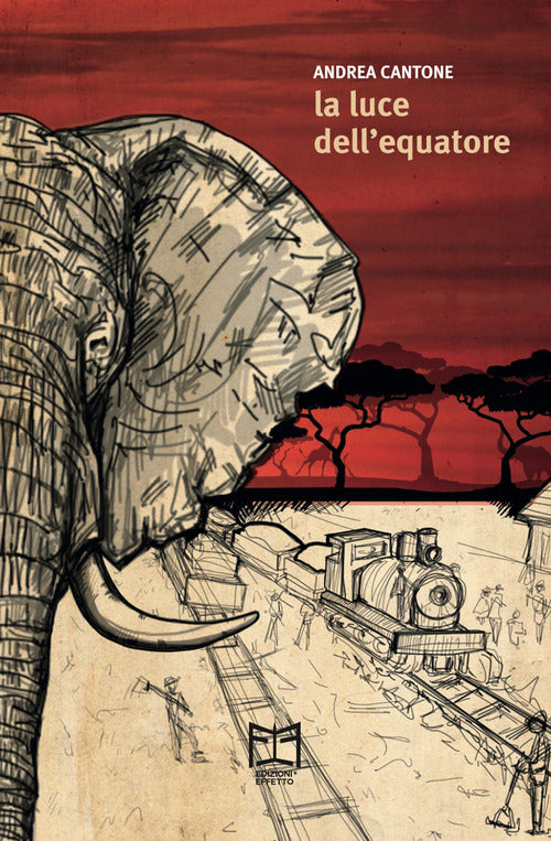 Cover of luce dell'Equatore. Una storia africana