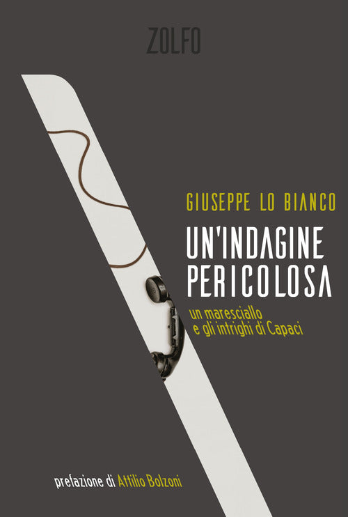 Cover of indagine pericolosa. Un maresciallo e gli intrighi di Capaci