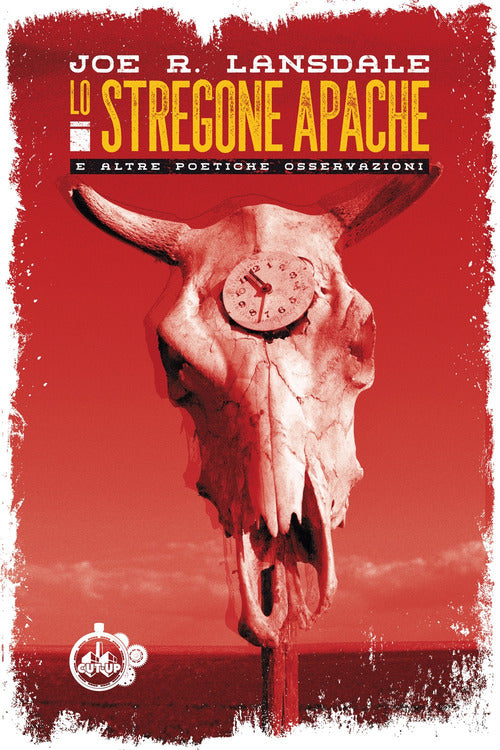 Cover of stregone apache e altre poetiche osservazioni