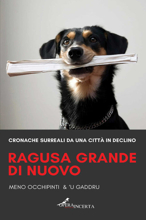 Cover of Ragusa grande di nuovo. Cronache surreali da una città in declino