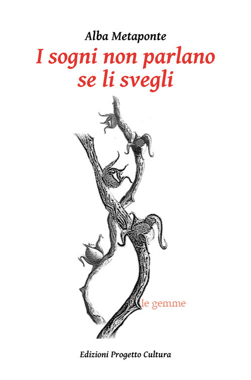 I sogni non parlano se li svegli