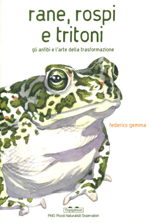 Rane, rospi e tritoni. Gli anfibi e l'arte della trasformazione