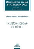 Il curatore speciale del minore