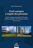 Corti europee e regole del processo. Corte europea dei diritti delluomo. Corte di giustizia dellUnione europea