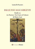 Dalle foci alle sorgenti. Studio su La Passione. Via Crucis al Colosseo di Mario Luzi