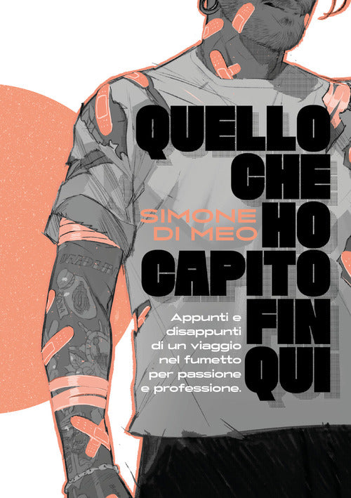 Quello che ho capito fin qui. Appunti e disappunti di un viaggio nel fumetto per passione e professione