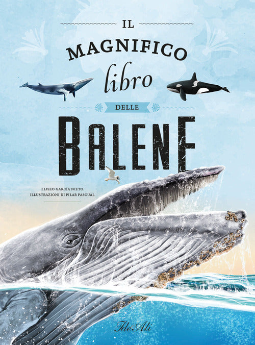 Il magnifico libro delle balene