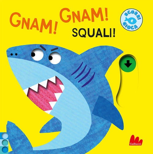 Gnam! Gnam! Squali!