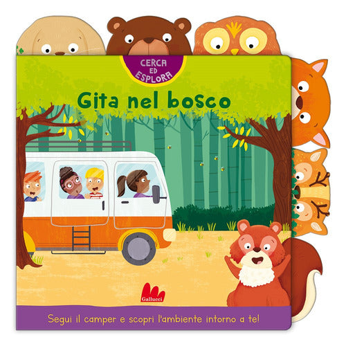 Gita nel bosco. Cerca ed esplora