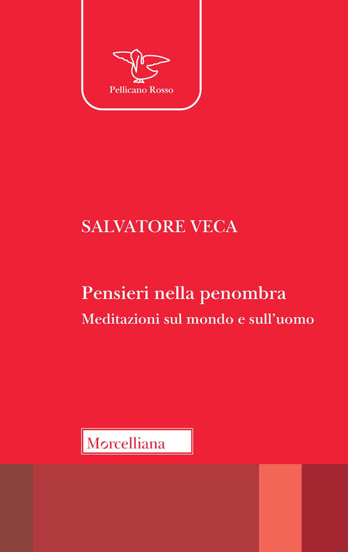 Pensieri nella penombra. Meditazioni sul mondo e sulluomo