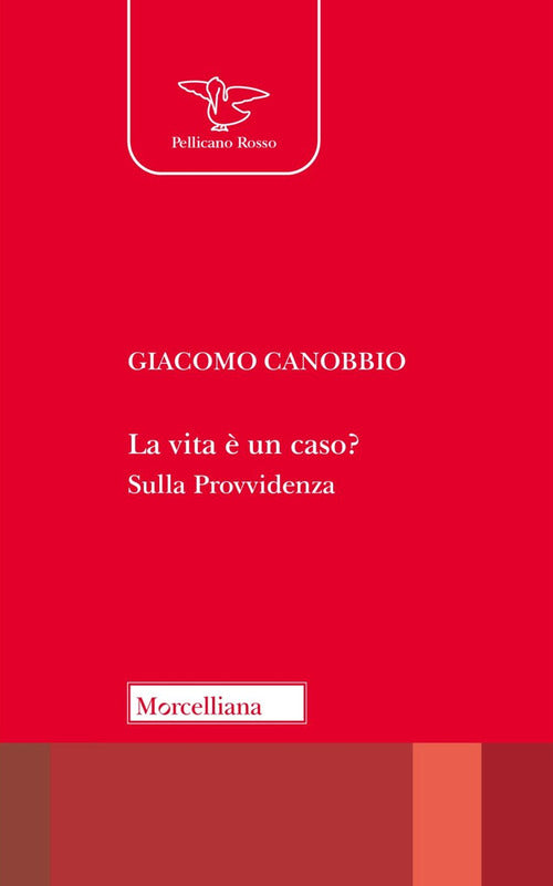 La vita un caso? Sulla Provvidenza