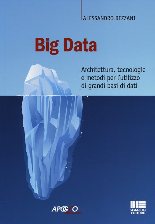 Big data. Architettura, tecnologie e metodi per l'utilizzo di grandi basi di dati