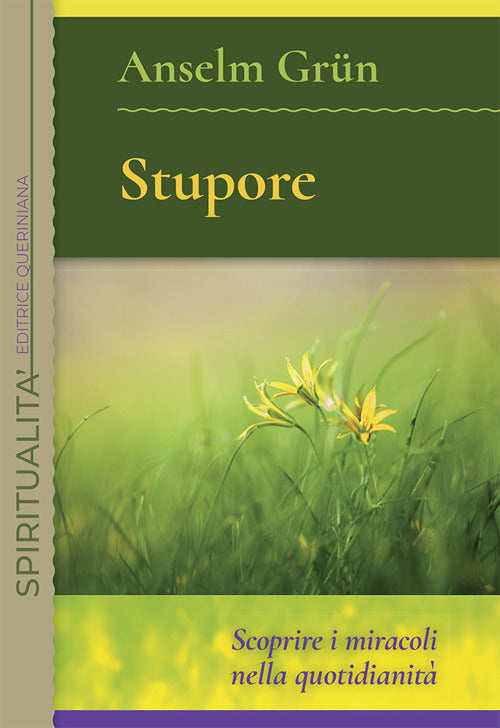 Stupore. Scoprire i miracoli nella quotidianità