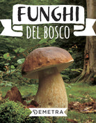 Funghi del bosco