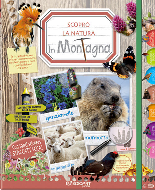 In montagna. Scopro la natura. Con adesivi