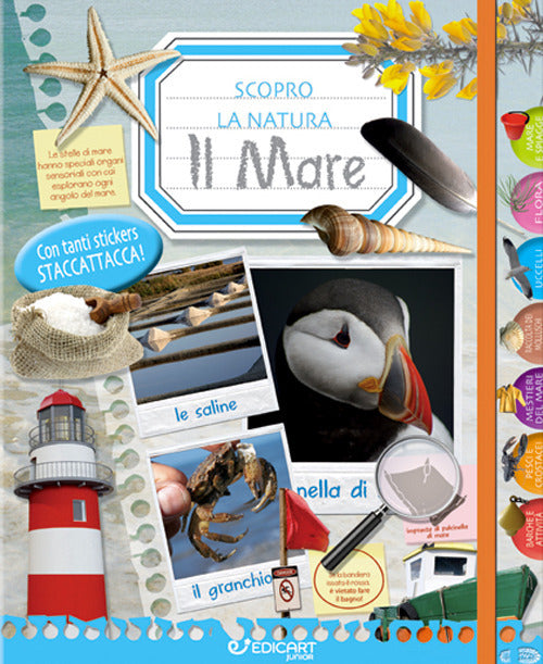 Il mare. Scopro la natura. Con adesivi