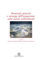 Strumenti, percorsi e strategie dell'integrazione nelle societ multiculturali