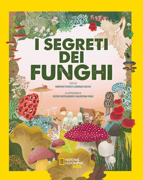 I segreti dei funghi